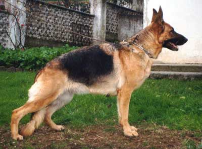 Bernadette de El Principado