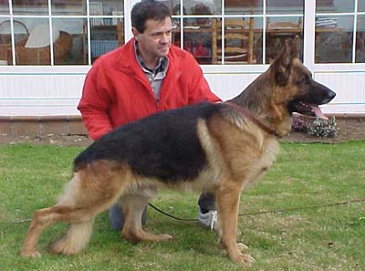 Ildefonso de El Principado