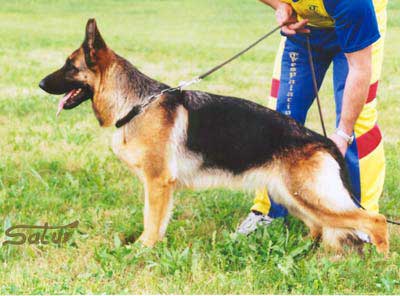 Karina de El Principado