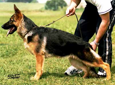 Olaya de El Principado