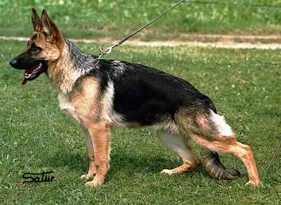 Olvido de El Principado