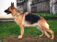 Bernadette de El Principado