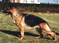 Helen de El Principado
