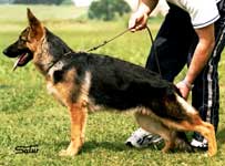 Olaya de El Principado