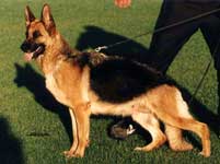 Samshara de El Principado