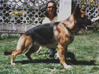 Xana de El Principado